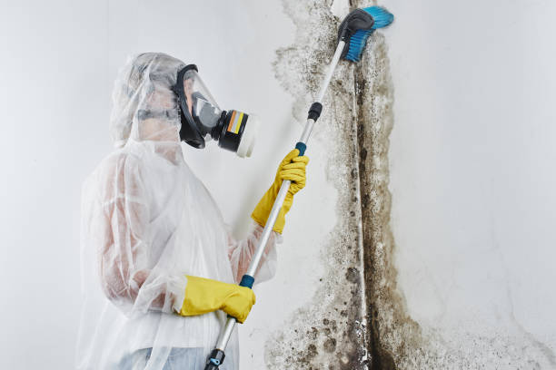 Professional Water damage restoration in Merriam, KS